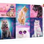 Puzzle Trefl, Super koty 1000